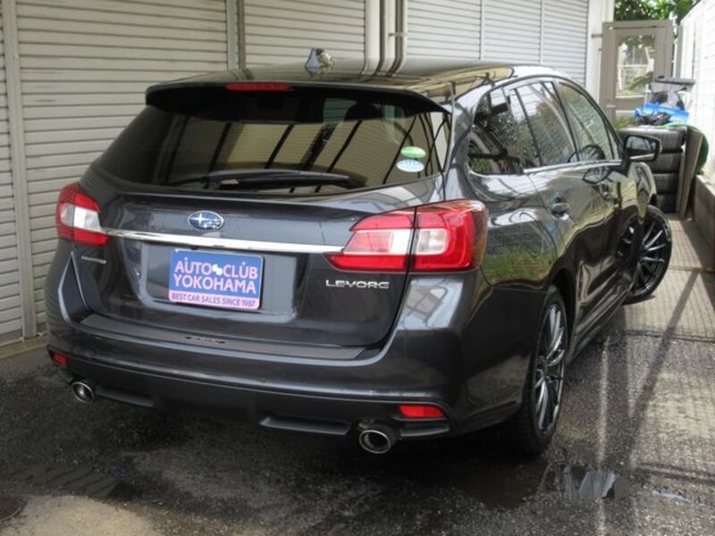 LEVORG