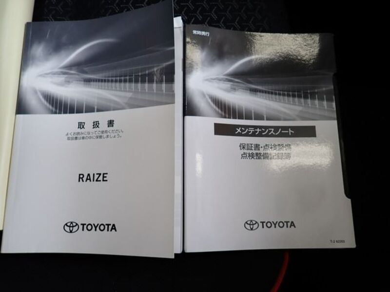 RAIZE