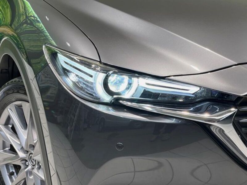 CX-8