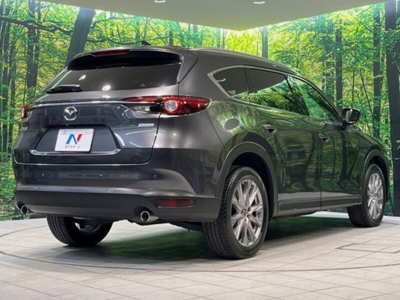 CX-8