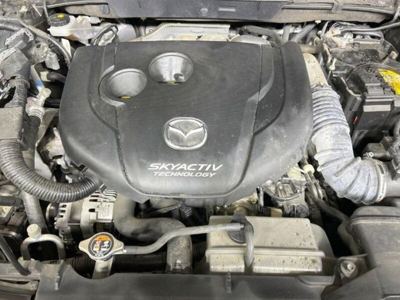 CX-8