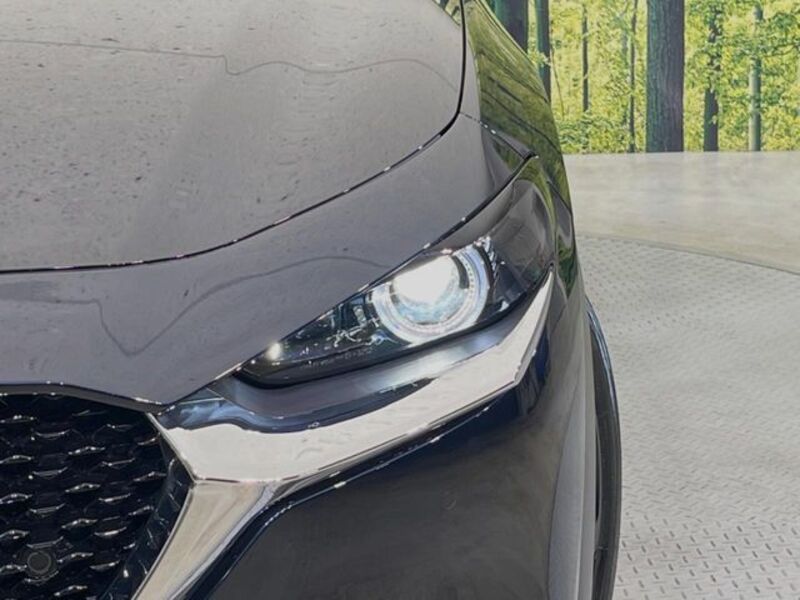 CX-30