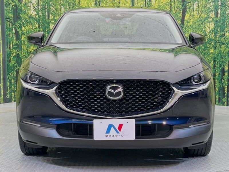 CX-30