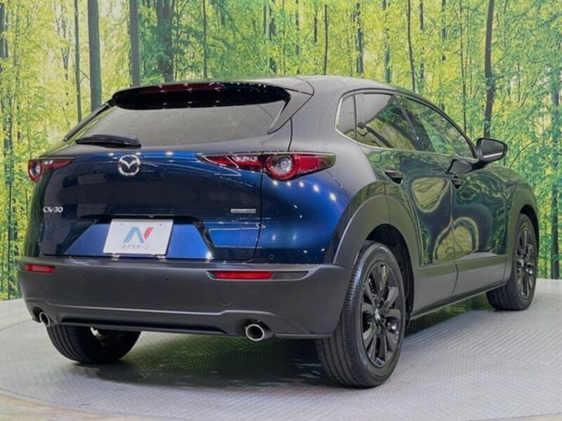 CX-30