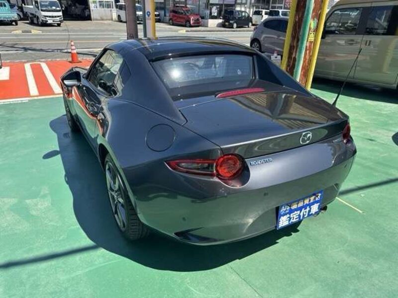 ROADSTER RF