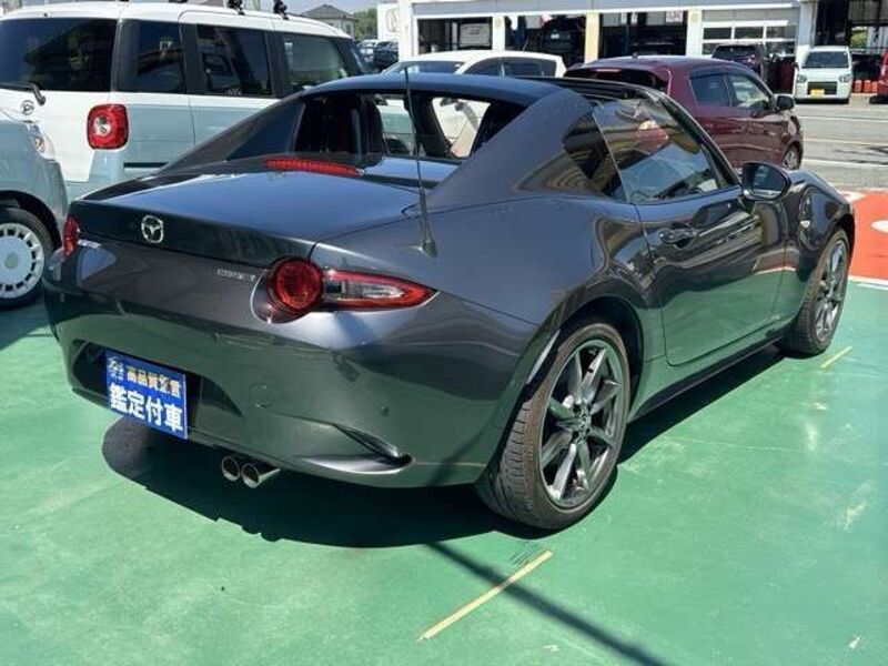 ROADSTER RF