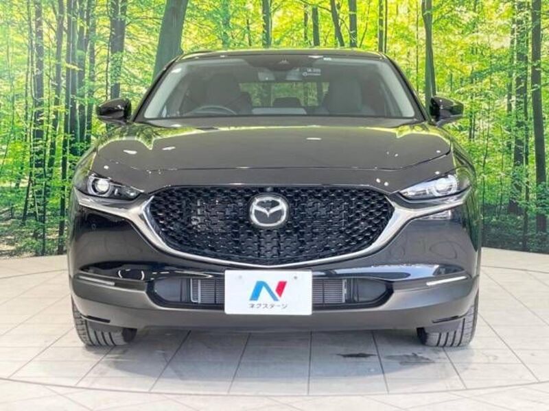CX-30