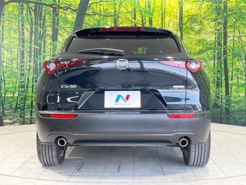 CX-30