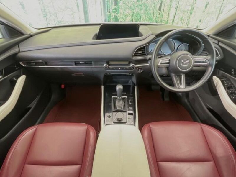 CX-30