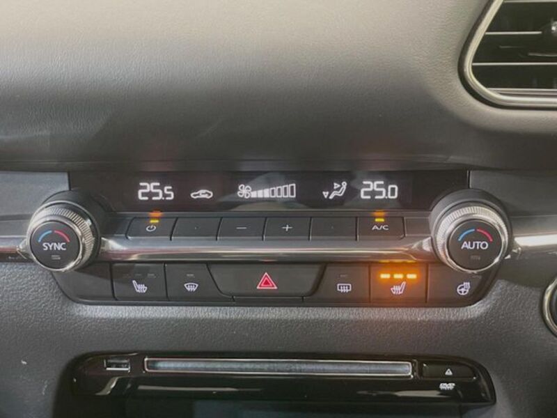 CX-30