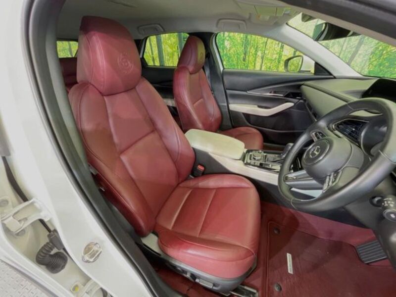 CX-30