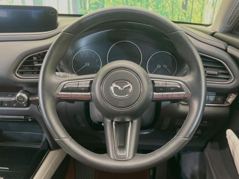 CX-30