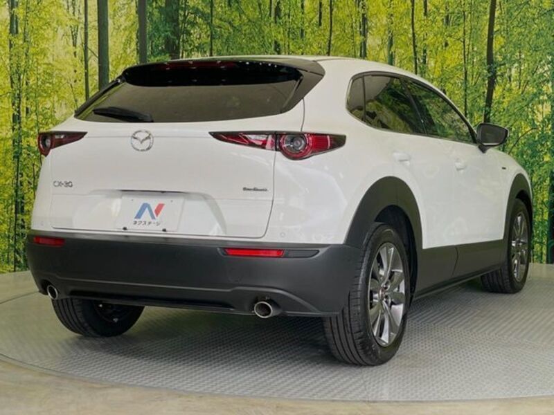 CX-30