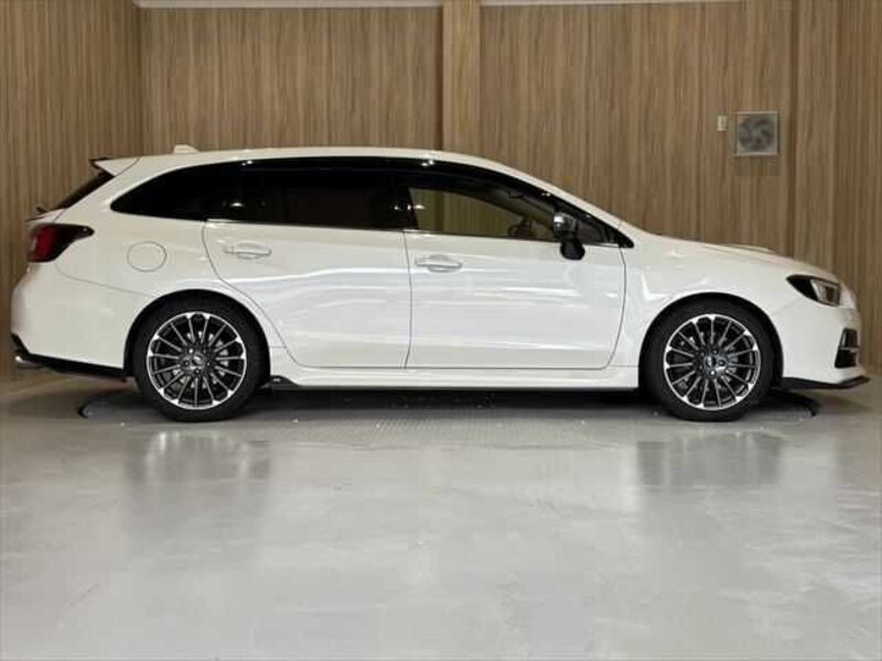 LEVORG