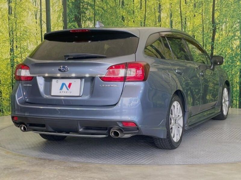 LEVORG