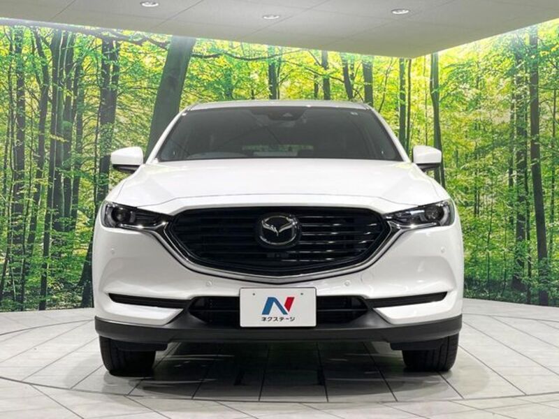CX-8