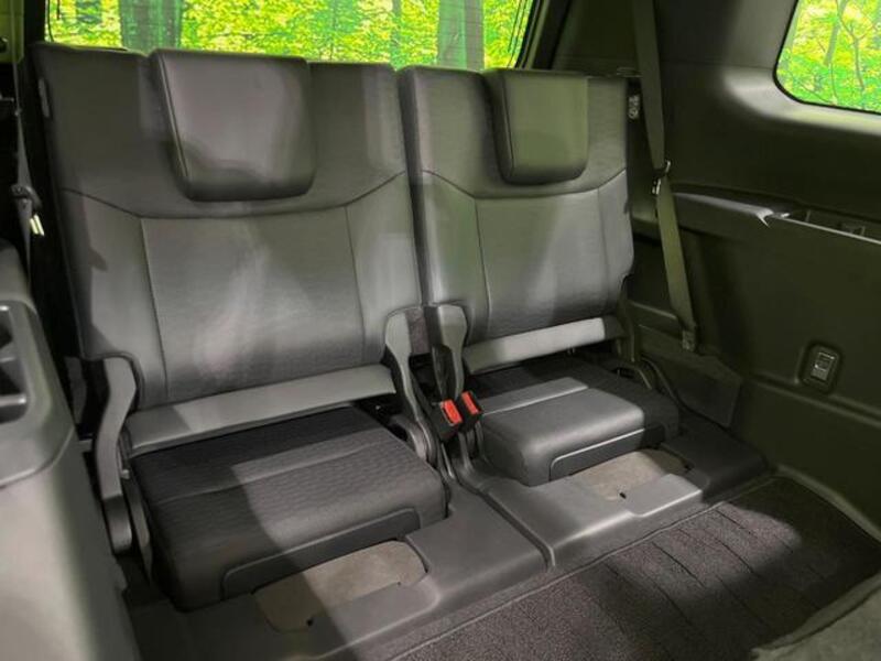 LAND CRUISER 250