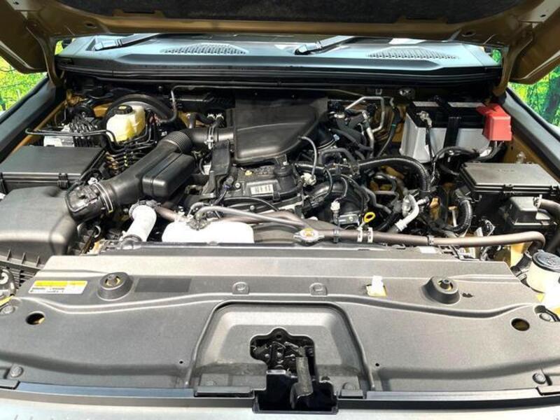 LAND CRUISER 250