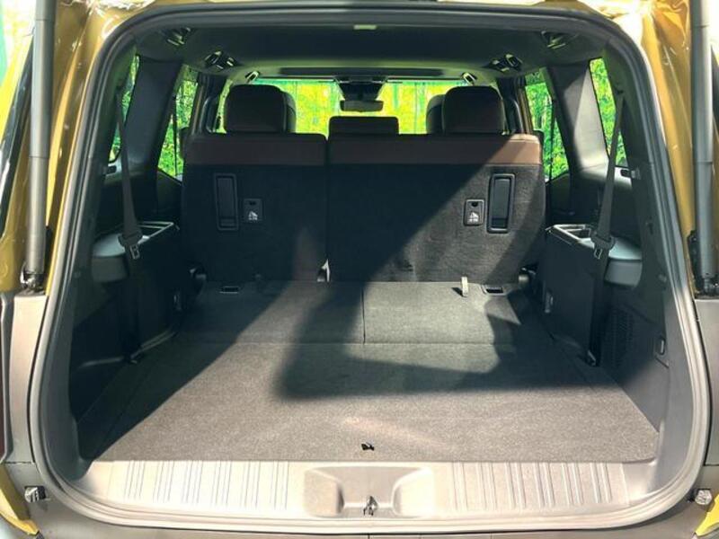 LAND CRUISER 250