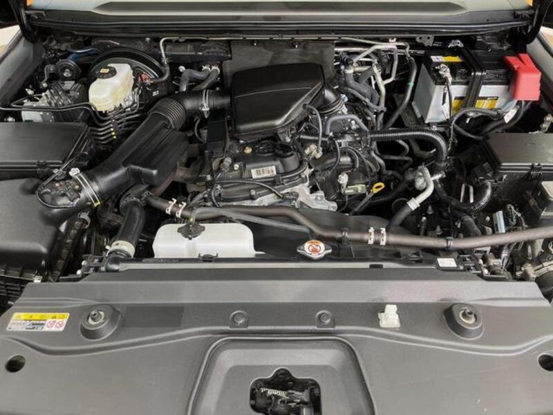 LAND CRUISER 250