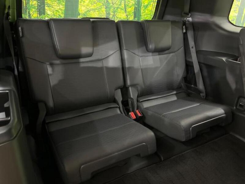 LAND CRUISER 250