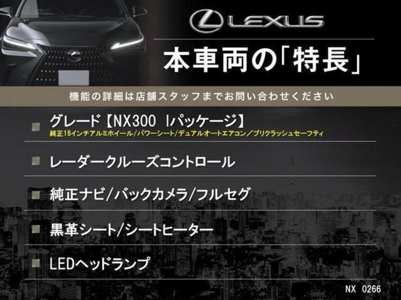 NX