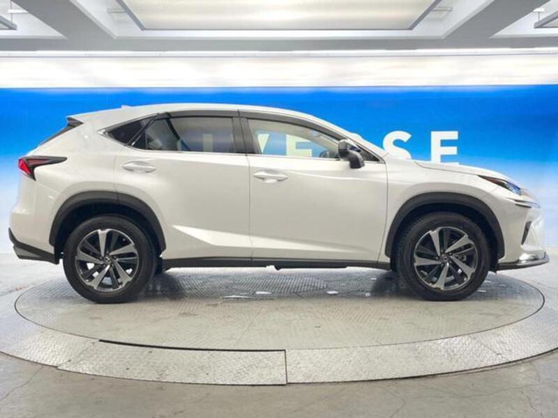 NX