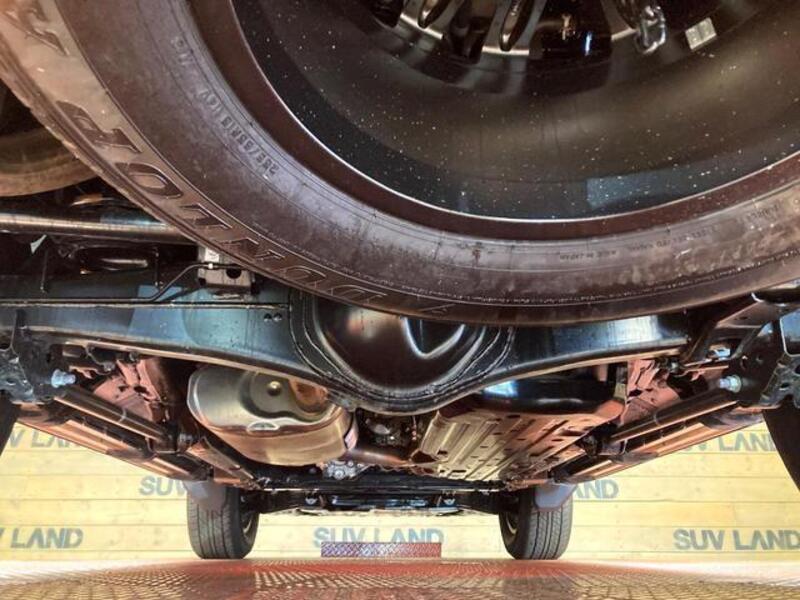 LAND CRUISER 250