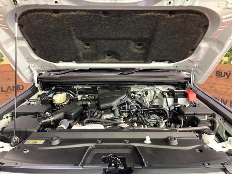 LAND CRUISER 250