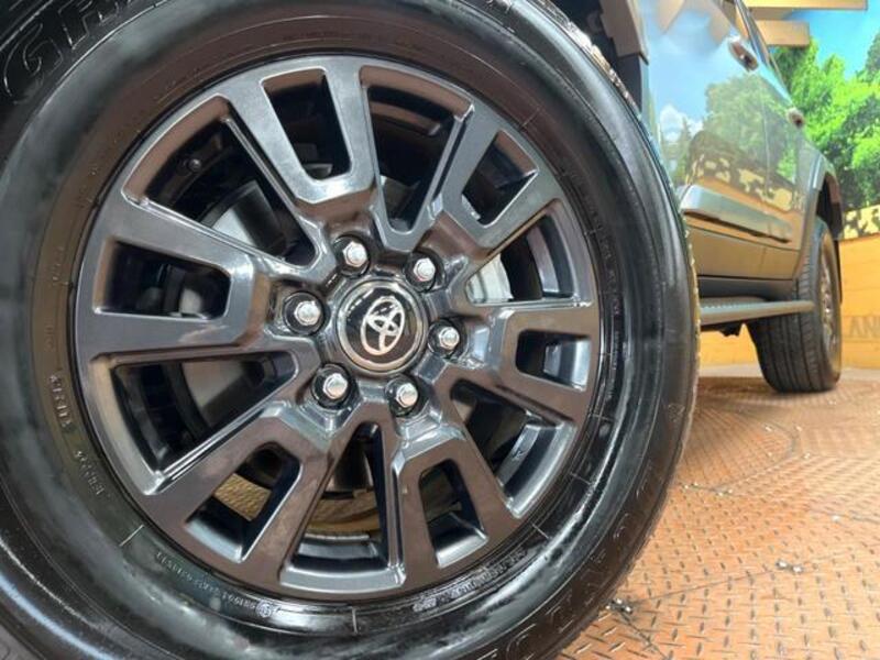 LAND CRUISER 250