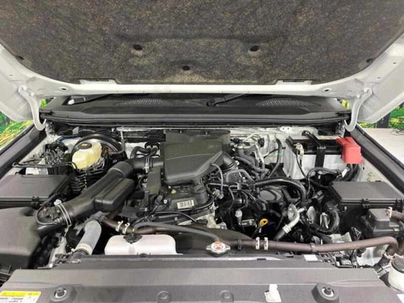 LAND CRUISER 250
