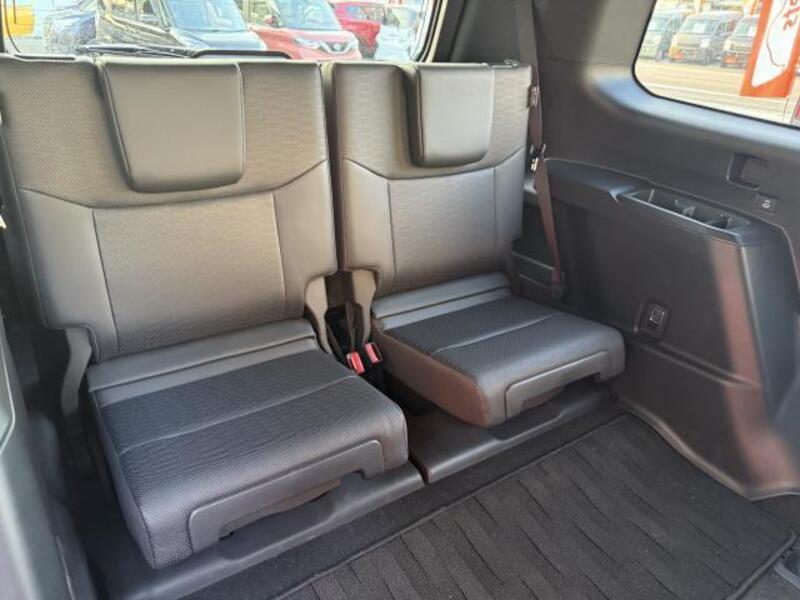 LAND CRUISER 250
