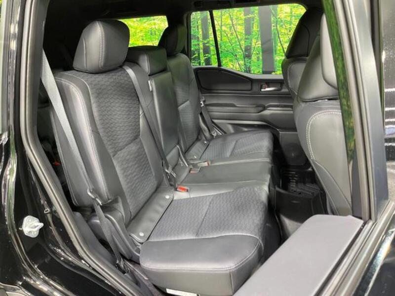 LAND CRUISER 250