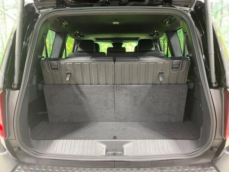 LAND CRUISER 250