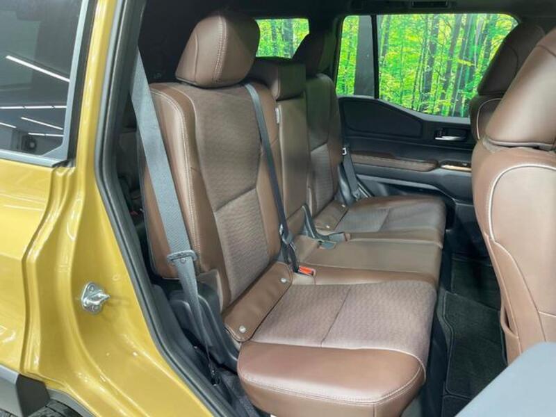 LAND CRUISER 250