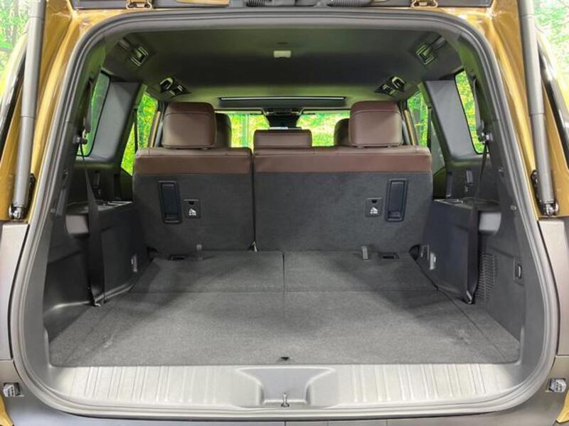 LAND CRUISER 250