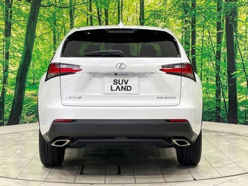 NX