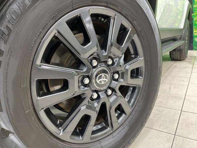 LAND CRUISER 250