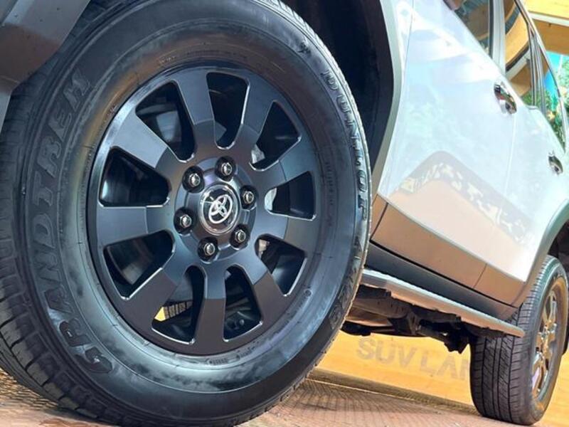 LAND CRUISER 250