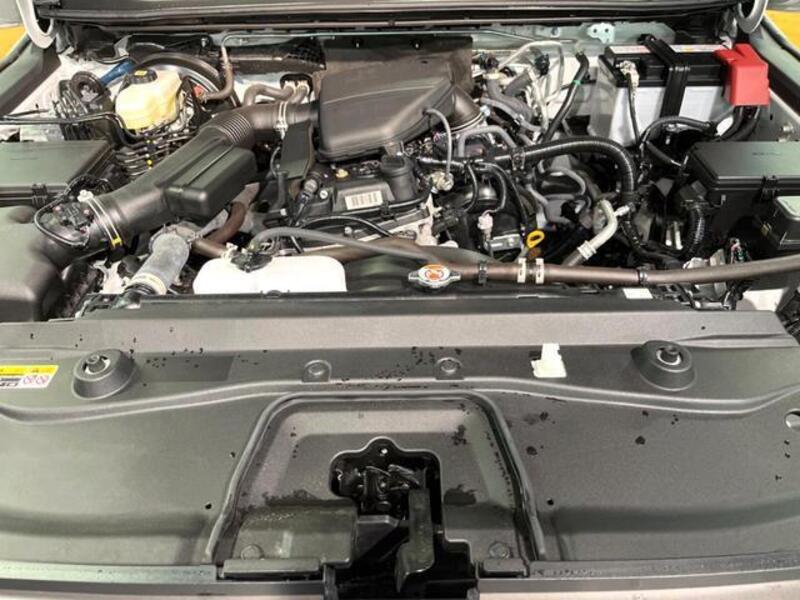 LAND CRUISER 250