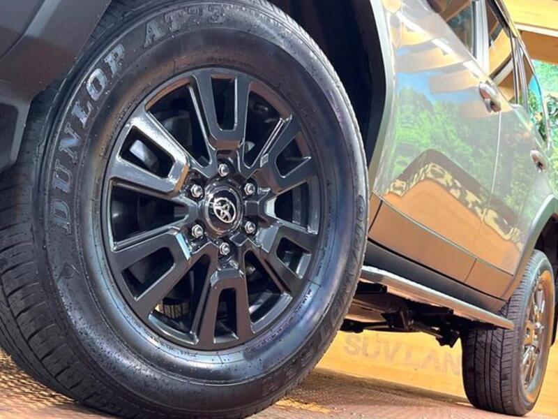 LAND CRUISER 250