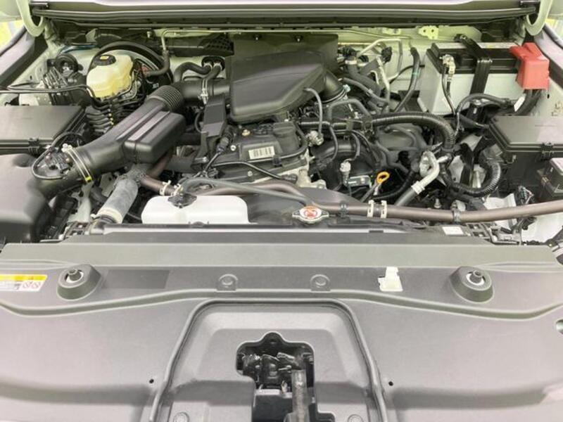 LAND CRUISER 250