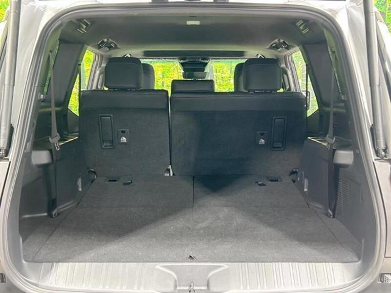 LAND CRUISER 250