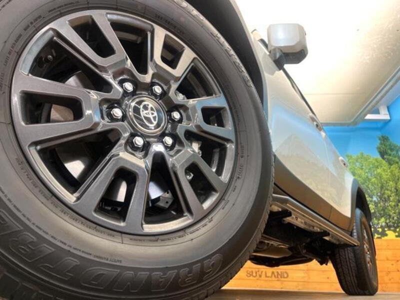 LAND CRUISER 250