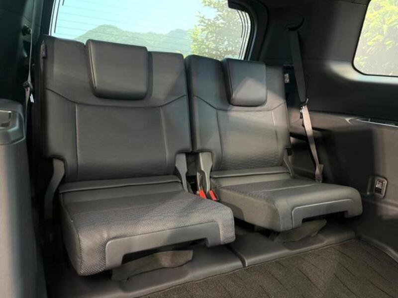 LAND CRUISER 250