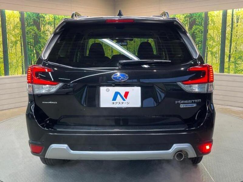 FORESTER