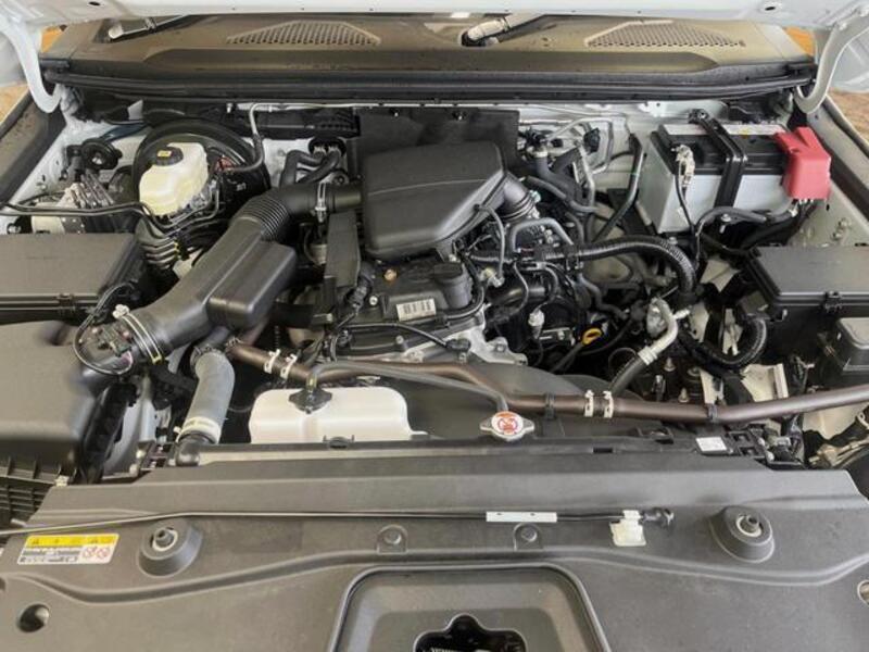 LAND CRUISER 250