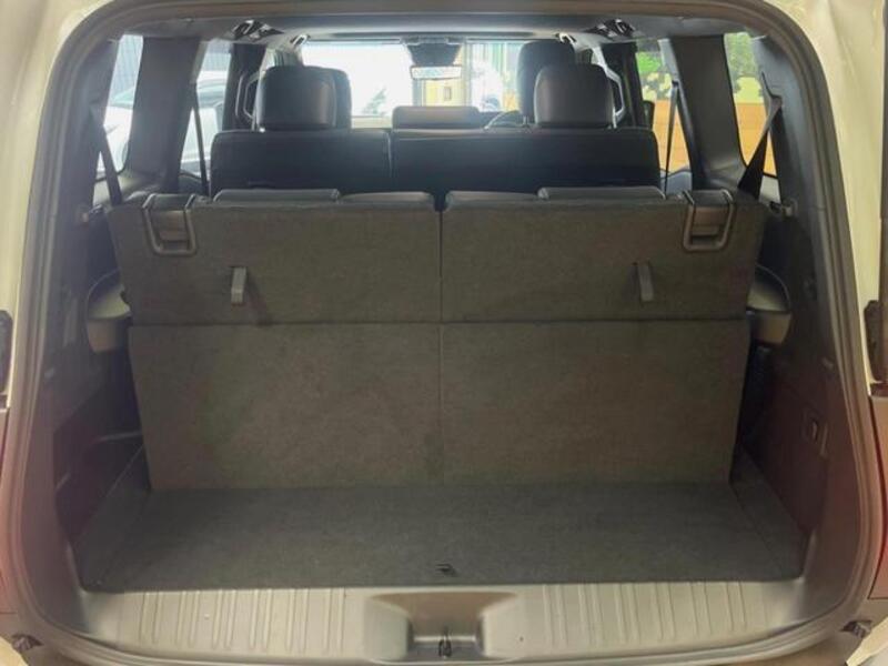 LAND CRUISER 250