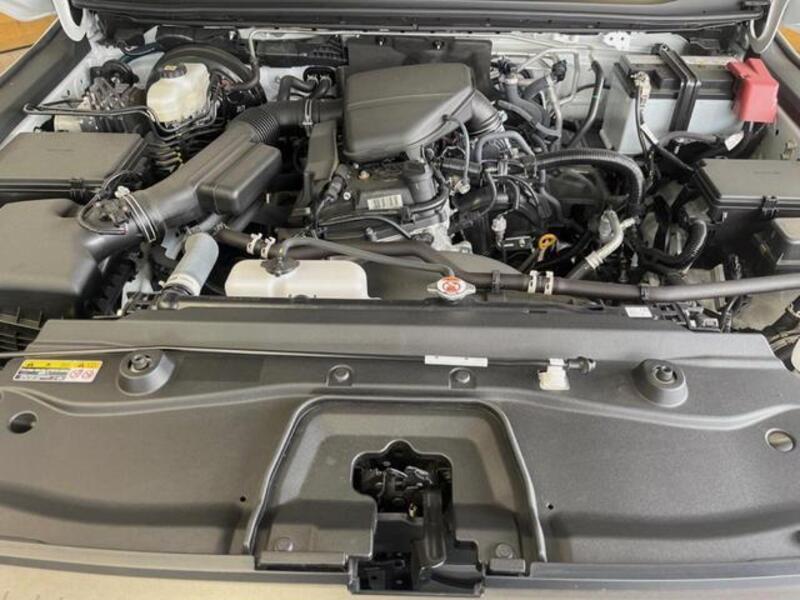 LAND CRUISER 250