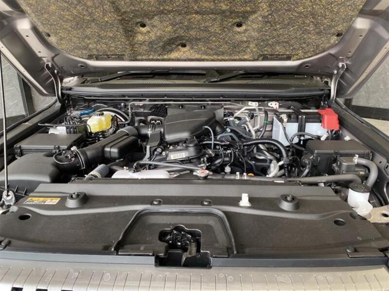LAND CRUISER 250